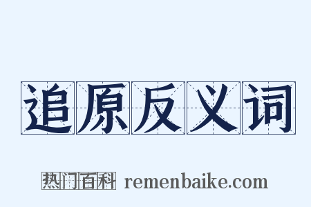 追原反义词是什么意思的图片
